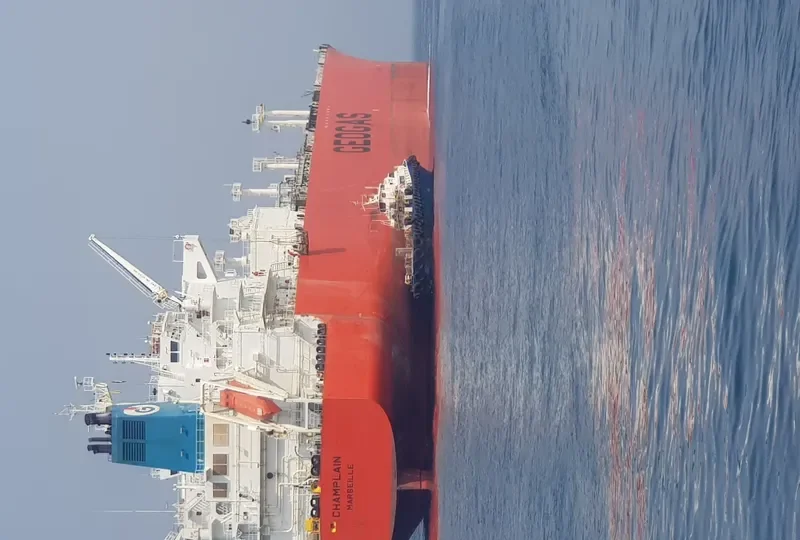 DELMA General Cargo IMO 9719408 photo 6