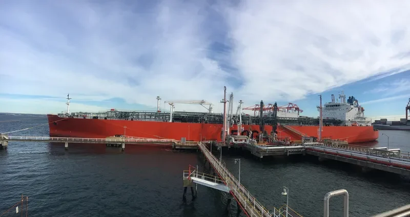 POINTIS General Cargo IMO 9719410 photo 3