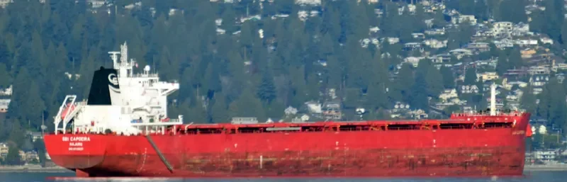 SBI CAPOEIRA Bulk Carrier IMO 9719537
