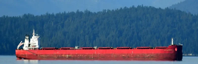 SBI CAPOEIRA Bulk Carrier IMO 9719537 photo 2