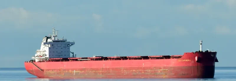 SBI CAPOEIRA Bulk Carrier IMO 9719537 photo 3