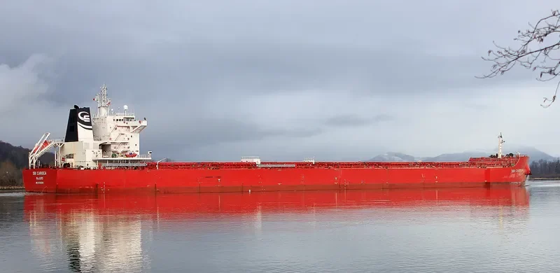 SBI CARIOCA Bulk Carrier IMO 9719549 photo 6