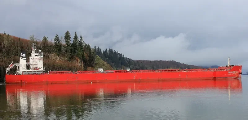 SBI CARIOCA Bulk Carrier IMO 9719549 photo 7