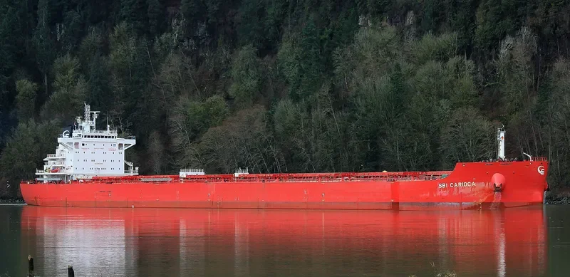 SBI CARIOCA Bulk Carrier IMO 9719549 photo 8