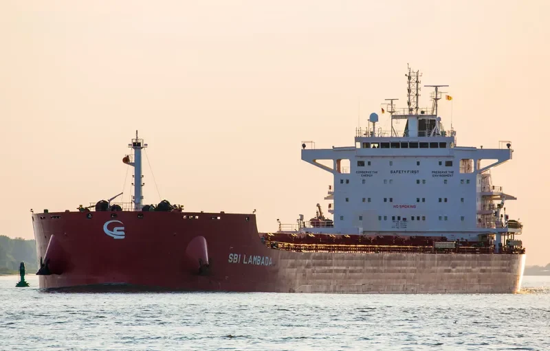 STAR LAMBADA Bulk Carrier IMO 9719551 photo 2