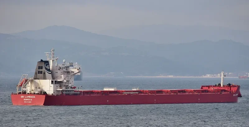 STAR LAMBADA Bulk Carrier IMO 9719551 photo 5