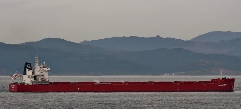 STAR LAMBADA Bulk Carrier IMO 9719551 photo 7