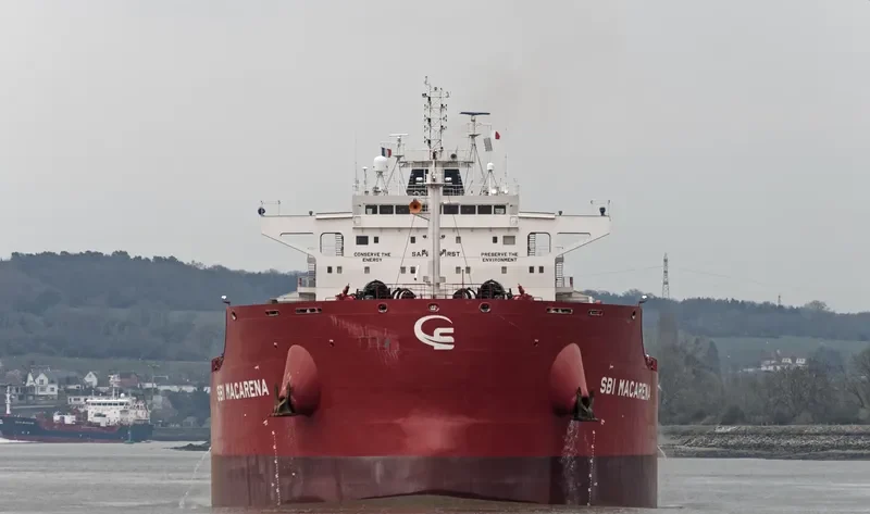 STAR MACARENA Bulk Carrier IMO 9719563 photo 6
