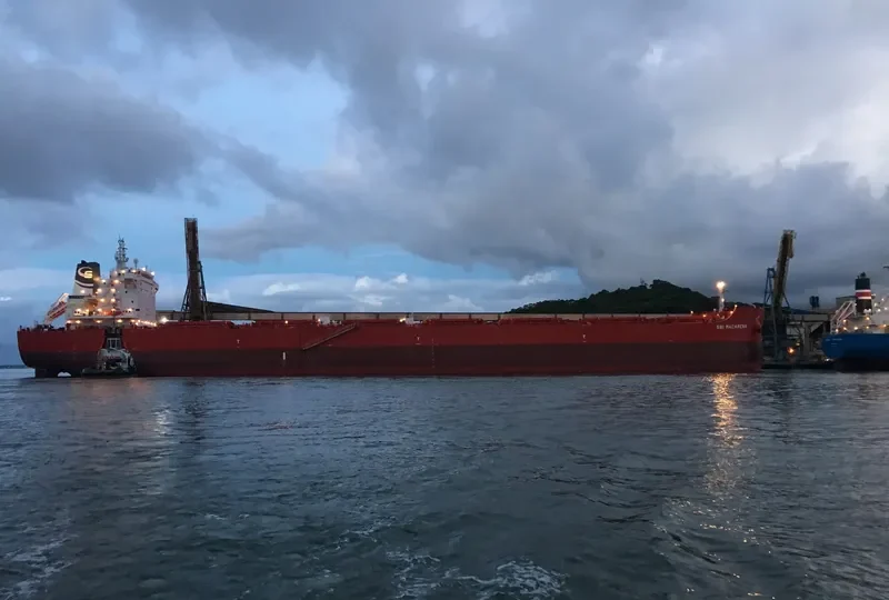 STAR MACARENA Bulk Carrier IMO 9719563 photo 9