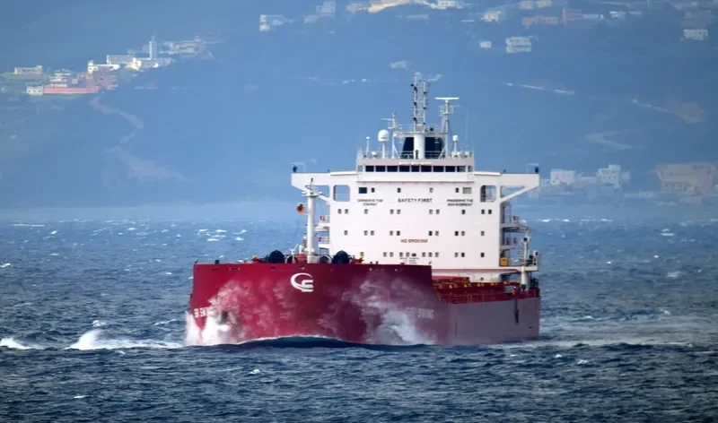 SBI SWING Bulk Carrier IMO 9719575