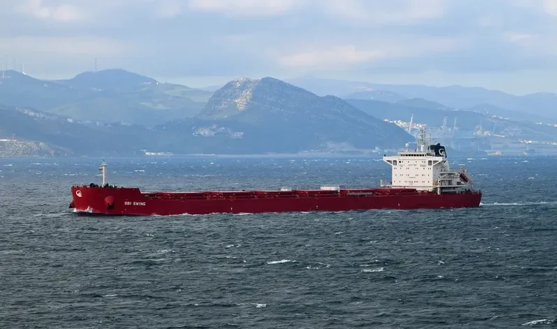 SBI SWING Bulk Carrier IMO 9719575 photo 2