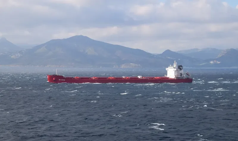 SBI SWING Bulk Carrier IMO 9719575 photo 3
