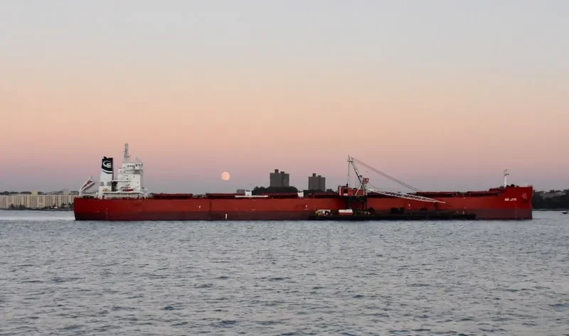 DANAE Bulk Carrier IMO 9719587