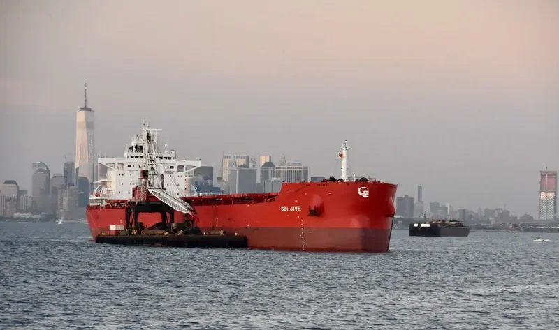 DANAE Bulk Carrier IMO 9719587 photo 2