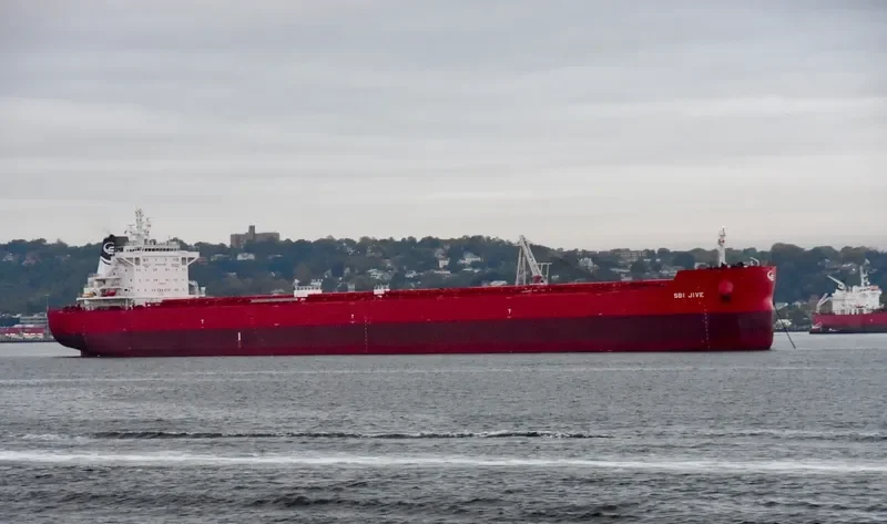 DANAE Bulk Carrier IMO 9719587 photo 3