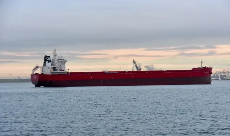 DANAE Bulk Carrier IMO 9719587 photo 4