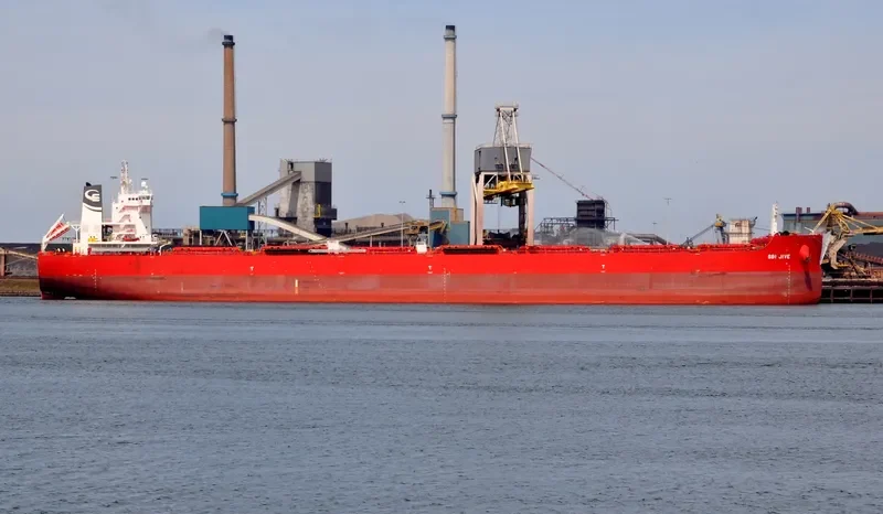 DANAE Bulk Carrier IMO 9719587 photo 5