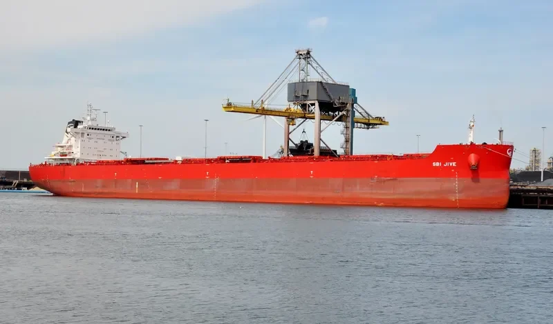 DANAE Bulk Carrier IMO 9719587 photo 6