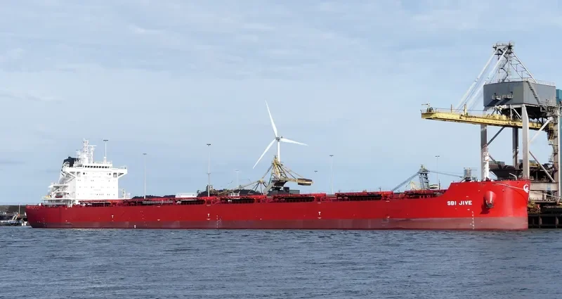 DANAE Bulk Carrier IMO 9719587 photo 8