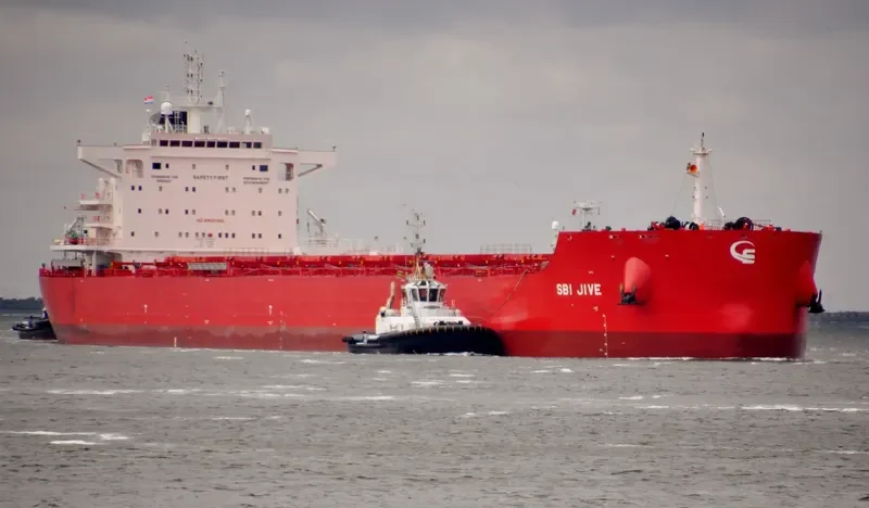 DANAE Bulk Carrier IMO 9719587 photo 9