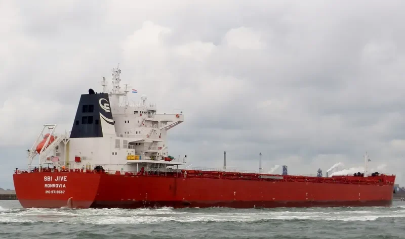 DANAE Bulk Carrier IMO 9719587 photo 10
