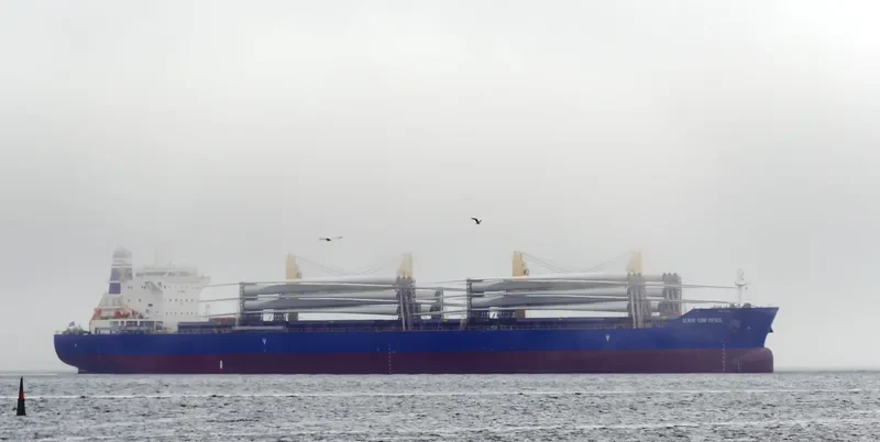 GEMINI CONFIDENCE Bulk Carrier IMO 9719654 photo 2