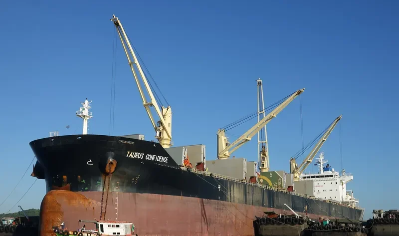 TAURUS CONFIDENCE Bulk Carrier IMO 9719666 photo 3