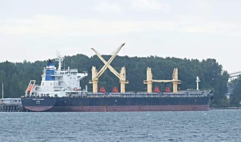 TAURUS CONFIDENCE Bulk Carrier IMO 9719666 photo 5