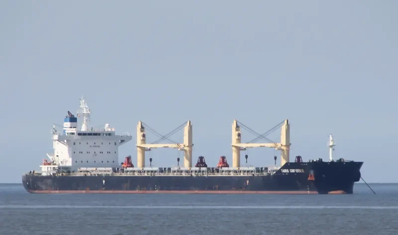 TAURUS CONFIDENCE Bulk Carrier IMO 9719666 photo 7