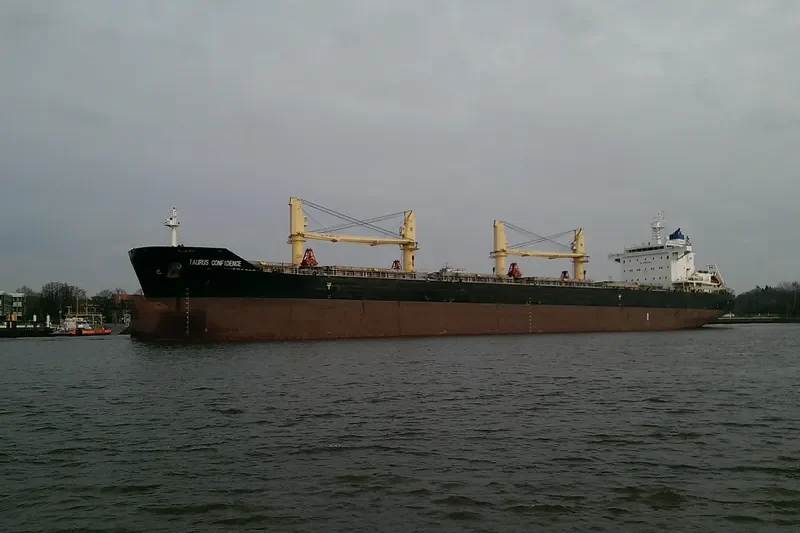 TAURUS CONFIDENCE Bulk Carrier IMO 9719666 photo 8