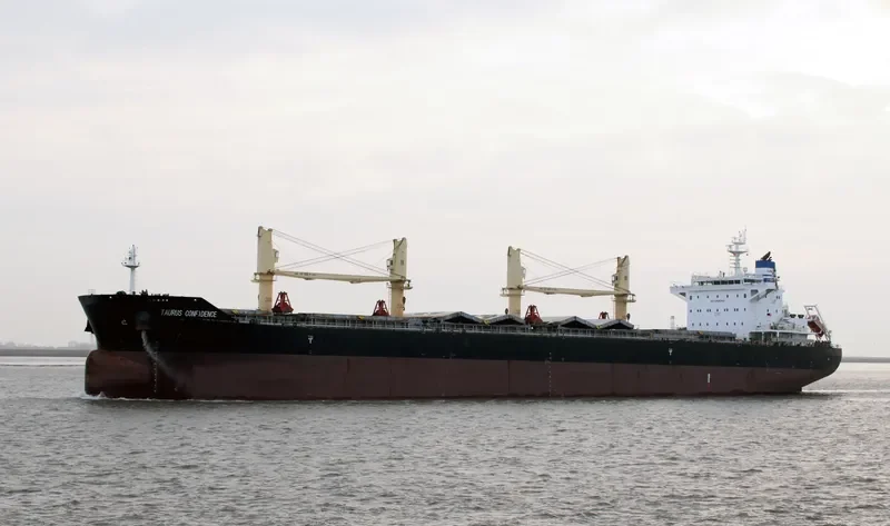 TAURUS CONFIDENCE Bulk Carrier IMO 9719666 photo 9