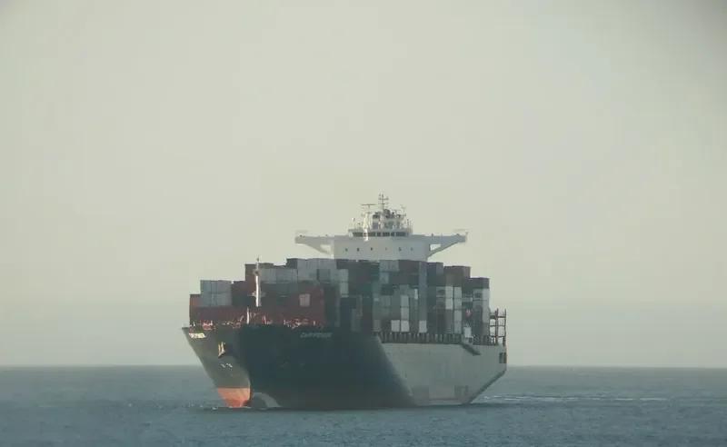 CAPE PIONEER Container Ship IMO 9719874