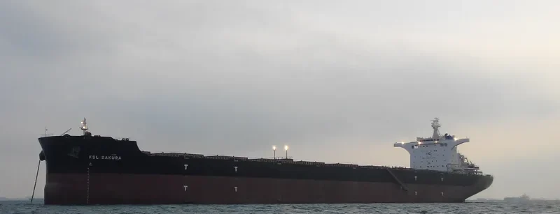 KSL SAKURA Bulk Carrier IMO 9719941 photo 2