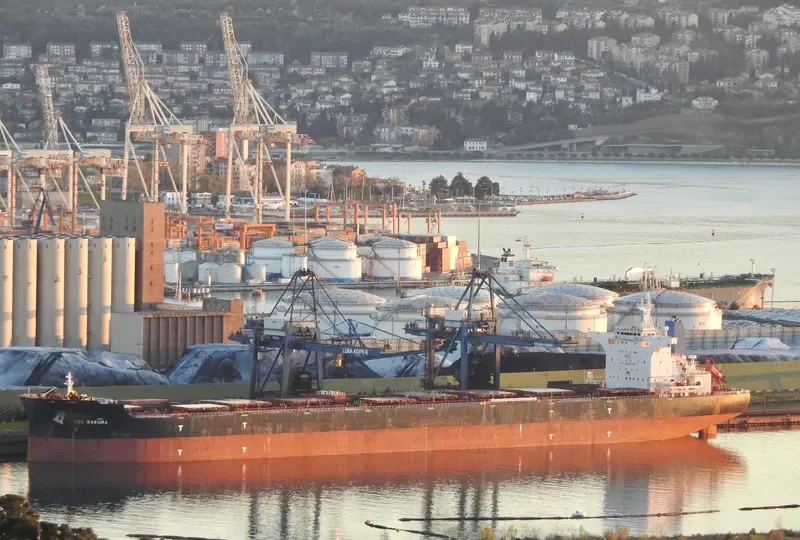 KSL SAKURA Bulk Carrier IMO 9719941 photo 4