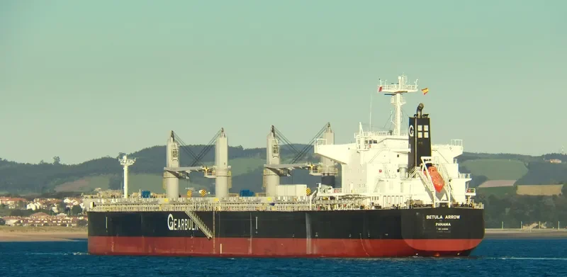 BETULA ARROW General Cargo IMO 9720055 photo 2