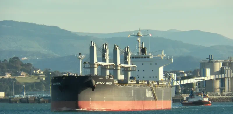 BETULA ARROW General Cargo IMO 9720055 photo 3