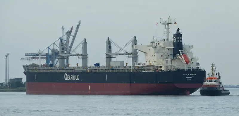 BETULA ARROW General Cargo IMO 9720055 photo 8
