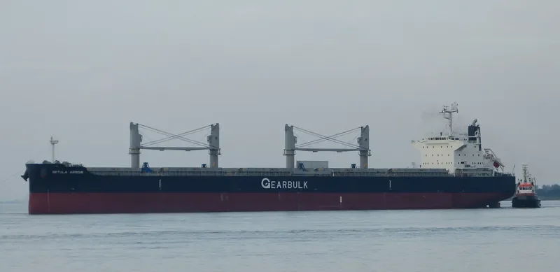 BETULA ARROW General Cargo IMO 9720055 photo 9