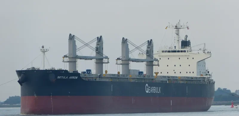 BETULA ARROW General Cargo IMO 9720055 photo 10