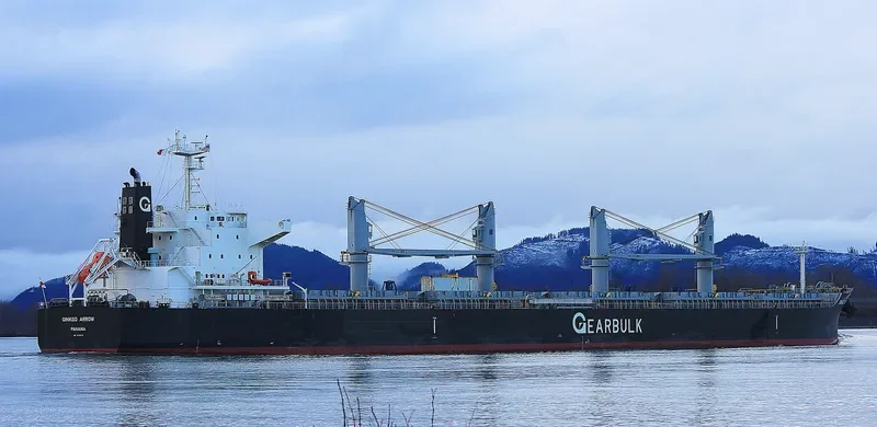 GINKGO ARROW General Cargo IMO 9720079