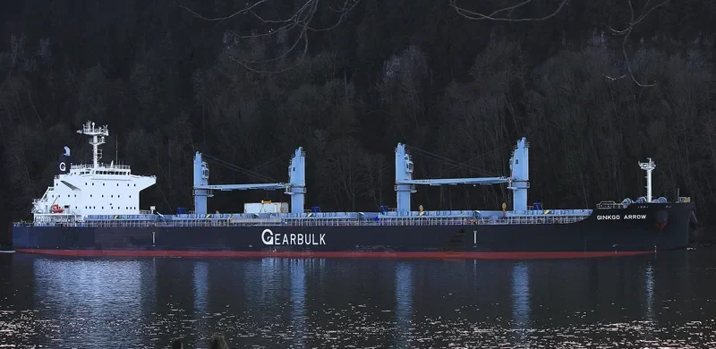 GINKGO ARROW General Cargo IMO 9720079 photo 2