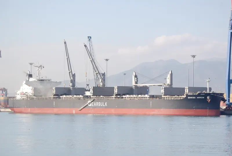 GINKGO ARROW General Cargo IMO 9720079 photo 3