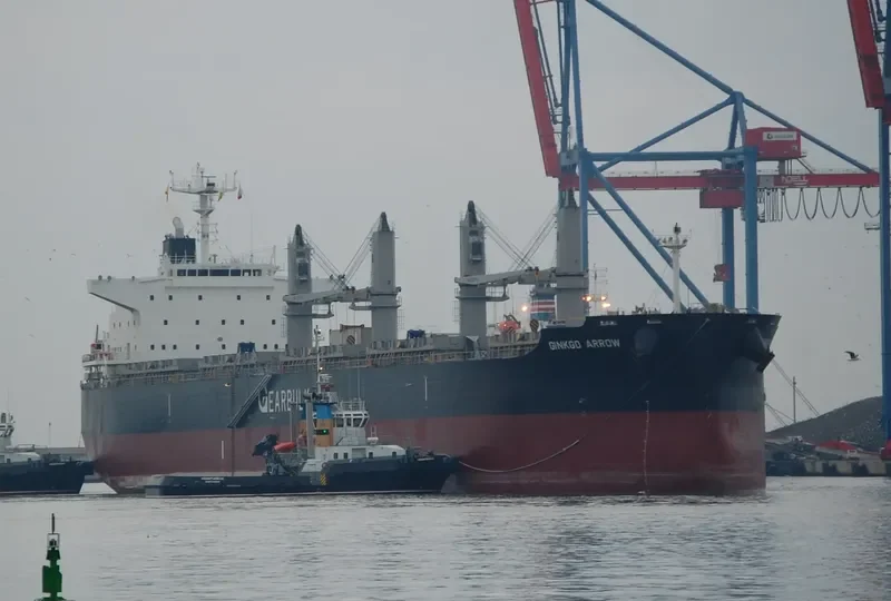 GINKGO ARROW General Cargo IMO 9720079 photo 4