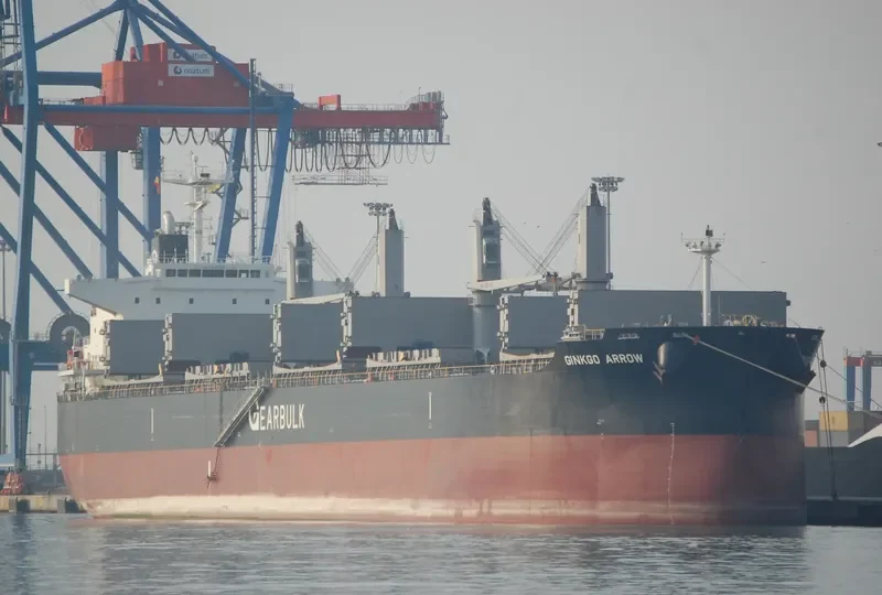 GINKGO ARROW General Cargo IMO 9720079 photo 5