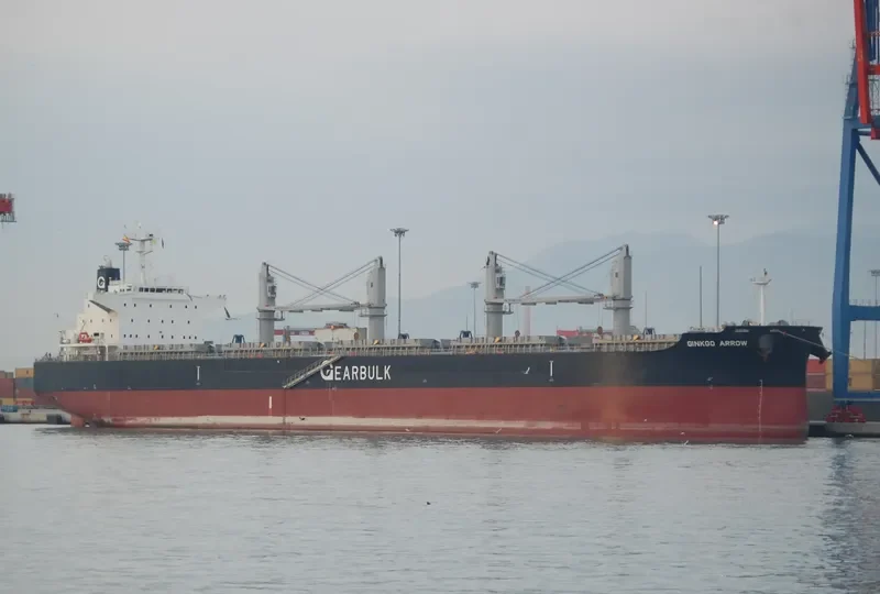 GINKGO ARROW General Cargo IMO 9720079 photo 6