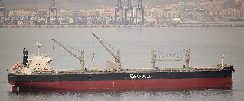 GINKGO ARROW General Cargo IMO 9720079 photo 7