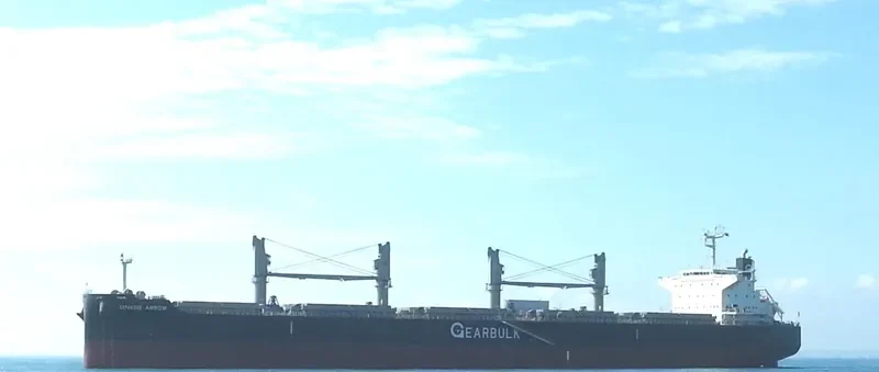 GINKGO ARROW General Cargo IMO 9720079 photo 8