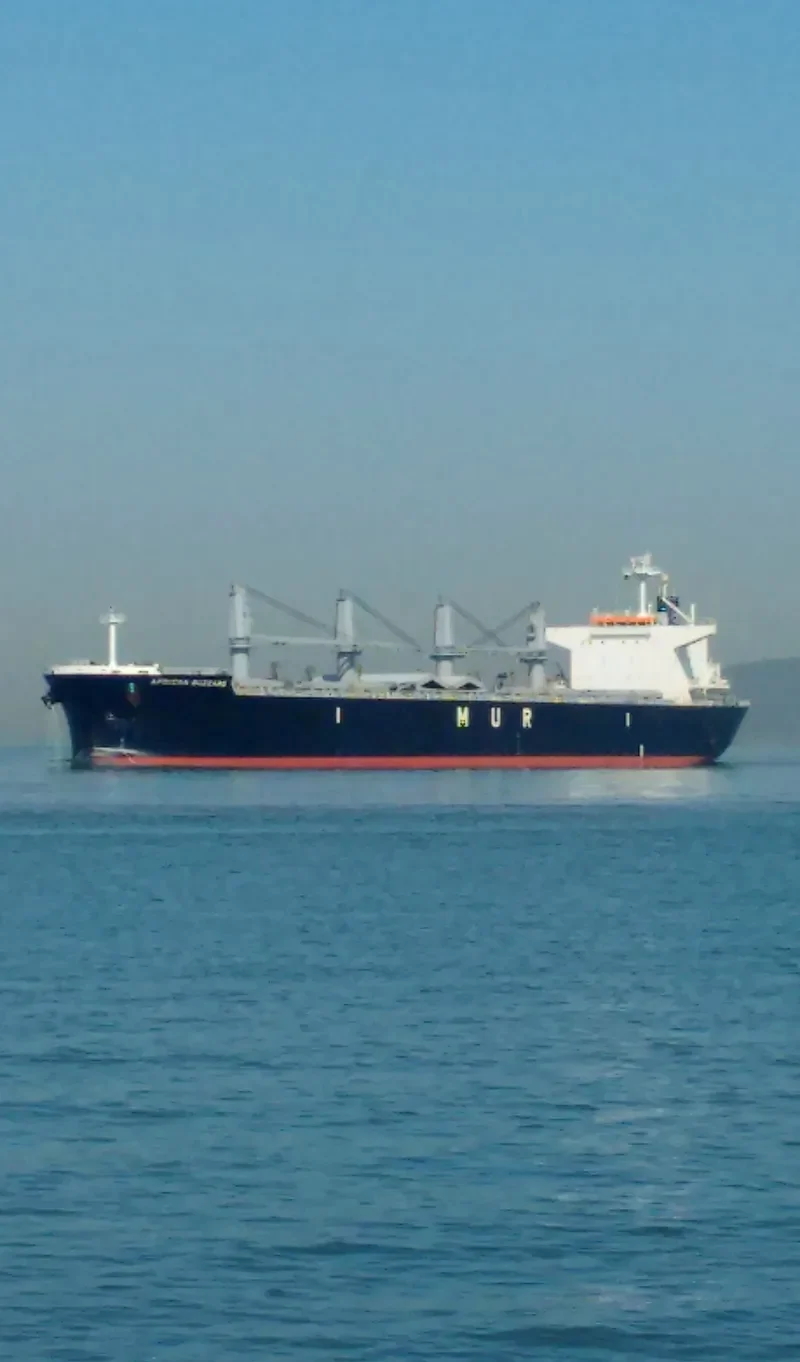AFRICAN BUZZARD Bulk Carrier IMO 9720225