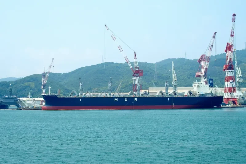 AFRICAN BUZZARD Bulk Carrier IMO 9720225 photo 2