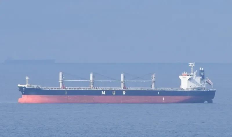 AFRICAN BUZZARD Bulk Carrier IMO 9720225 photo 3